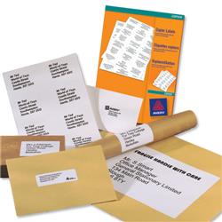 Avery White Copier Labels 10 per Sheet 105x57mm White Ref 3425 - 1000 Labels