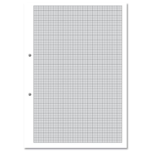 Exercise Paper Graph Ruled 1 5 and 10mm Squares Punched 2 Hole A4 Ref