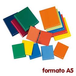 Offerte prezzi Quaderno ad anelli monocromo pigna a5 assortiti Quaderno ad anelli monocromo pigna a5 assortiti