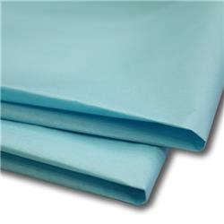 Offerte prezzi Carta velina cwr - 50x76 cm - azzurro - 21 g - 24 fogli Carta velina cwr - 50x76 cm - azzurro - 21 g - 24 fogli